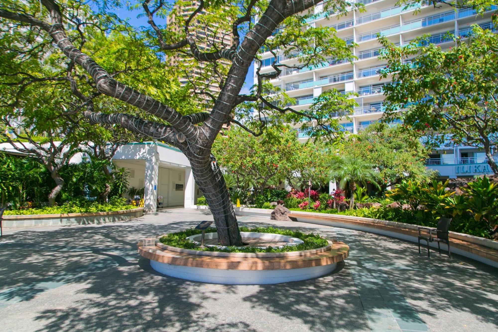 Ilikai Tower 1403 City View 1Br โฮโนลูลู ภายนอก รูปภาพ